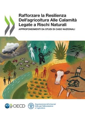 Book cover for Rafforzare La Resilienza Dell'agricoltura Alle Calamita Legate a Rischi Naturali Approfondimenti Da Studi Di Caso Nazionali