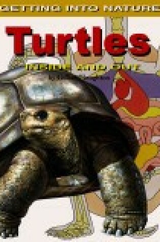 Cover of Turtles