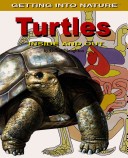 Book cover for Turtles