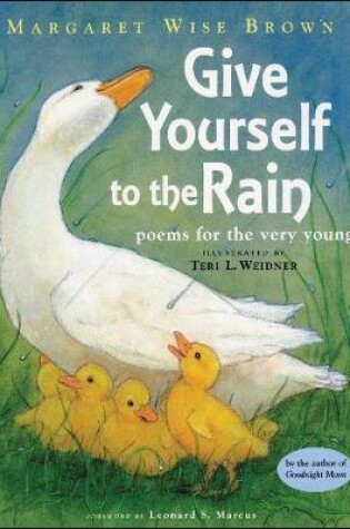 Cover of Give Yourself to the Rain