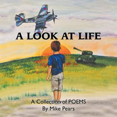 Book cover for A Look at Life