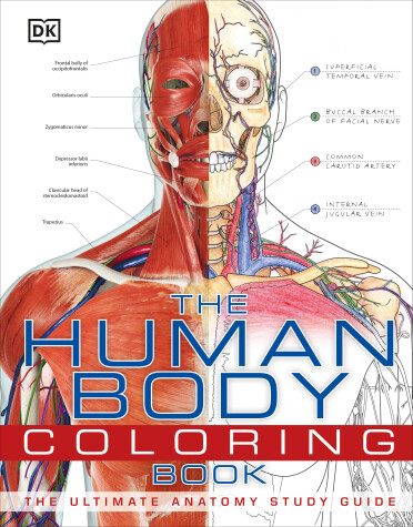 Cover of The Human Body Coloring Book