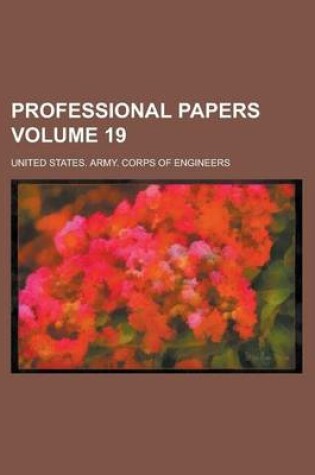 Cover of Professional Papers Volume 19