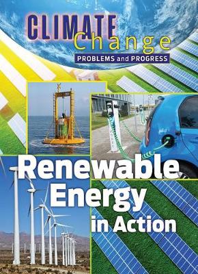 Book cover for Renewable Energy in Action