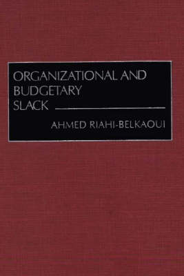 Book cover for Organizational and Budgetary Slack