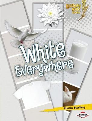 Book cover for White Everywhere