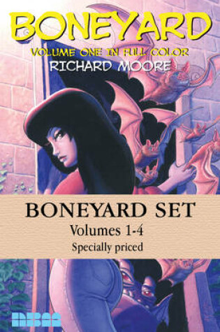 Cover of The Boneyard Set