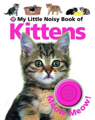 Book cover for My Little Noisy Book of Kittens