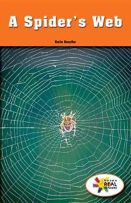 Cover of A Spider's Web