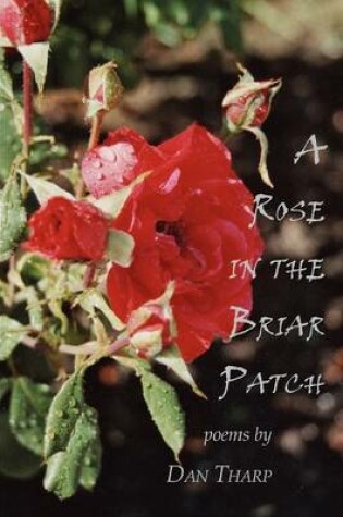 Cover of A Rose in the Briar Patch
