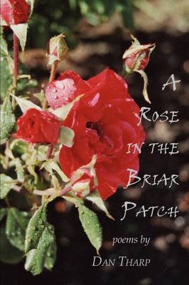 Book cover for A Rose in the Briar Patch