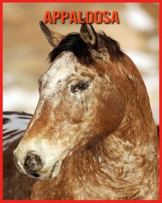 Book cover for Appaloosa