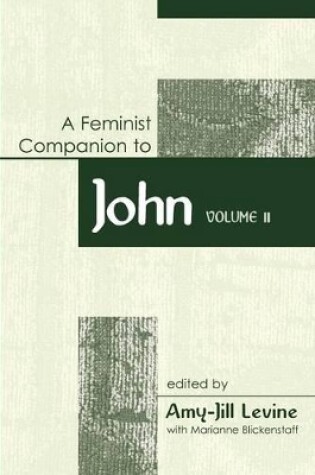 Cover of Feminist Companion to John