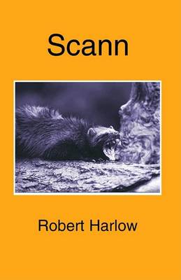 Book cover for Scann