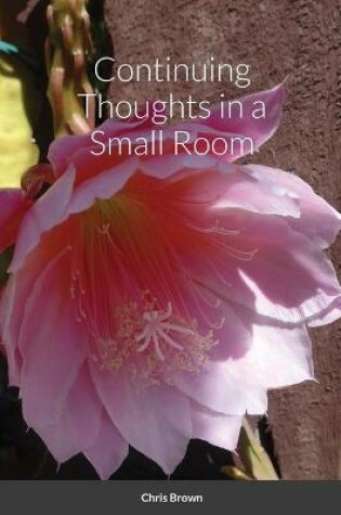 Cover of Continuing Thoughts in a Small Room