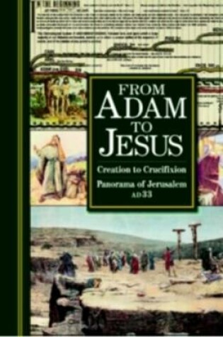 Cover of From Adam to Jesus