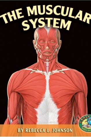 Cover of The Muscular System