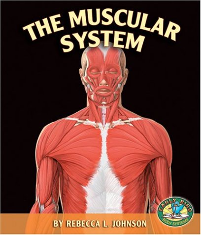 Cover of The Muscular System