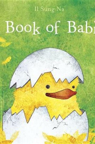 Cover of A Book of Babies