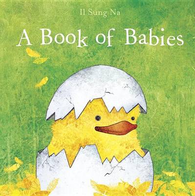 Book cover for A Book of Babies