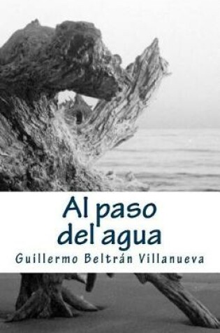 Cover of Al paso del agua