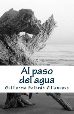 Book cover for Al paso del agua
