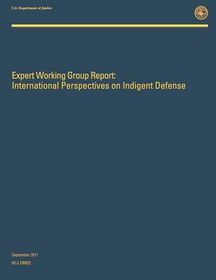 Book cover for Expert Working Group Report