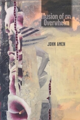 Cover of Illusion of an Overwhelm