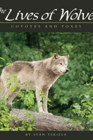 Cover of Lives of Wolves, Coyotes and Foxes