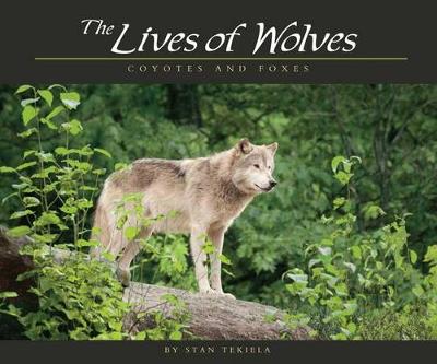 Book cover for Lives of Wolves, Coyotes and Foxes