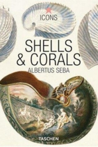 Cover of Shells and Corals