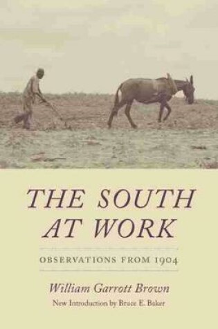 Cover of The South at Work