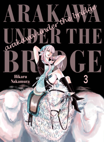 Cover of Arakawa Under the Bridge 3