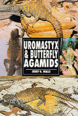 Book cover for Uromastyx and Butterfly Agamids