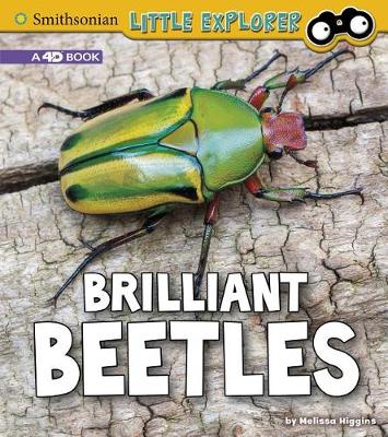 Book cover for Brilliant Beetles: a 4D Book (Little Entomologist 4D)
