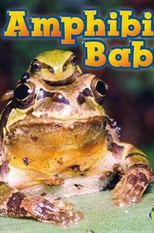 Cover of Amphibian Babies (Animal Babies)