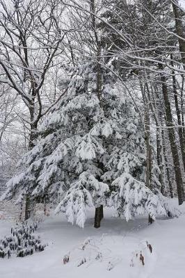 Book cover for Snowstorm Trees Winter Weather Journal