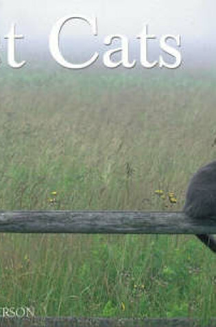 Cover of Just Cats