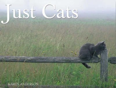 Book cover for Just Cats