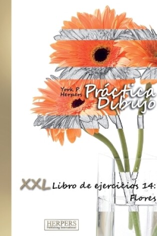 Cover of Práctica Dibujo - XXL Libro de ejercicios 14