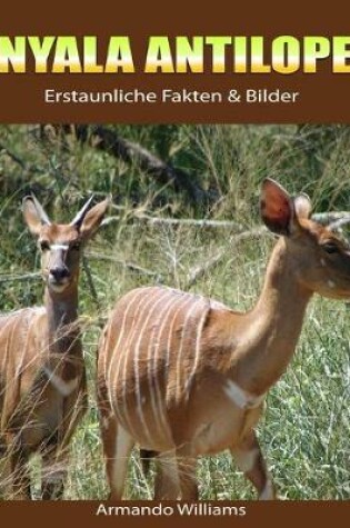 Cover of Nyala Antilope