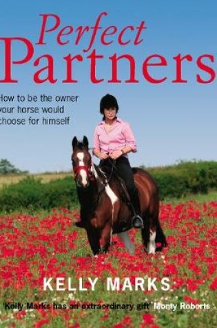 Cover of Perfect Partners