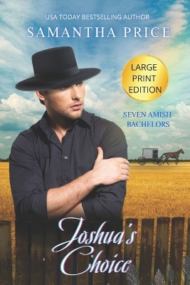 Book cover for Joshua's Choice LARGE PRINT