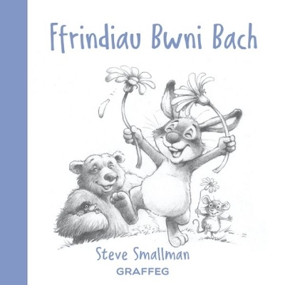 Book cover for Ffrindiau Bwni Bach