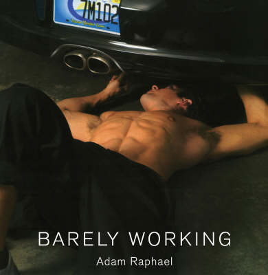 Book cover for Barely Working