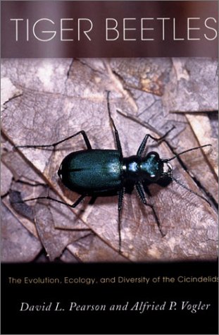 Book cover for Tiger Beetles