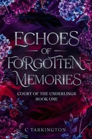 Cover of Echoes of Forgotten Memories