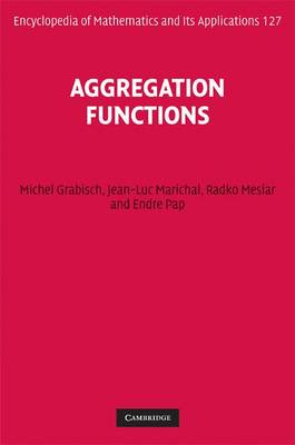 Book cover for Aggregation Functions