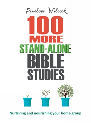 Book cover for 100 More Stand-Alone Bible Studies