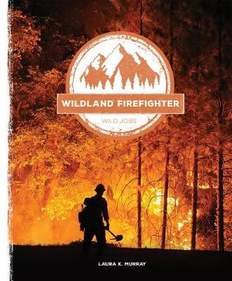 Book cover for Wildland Firefighter